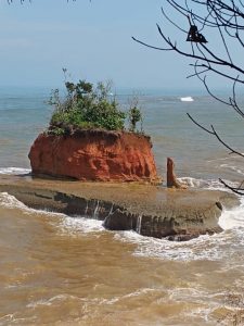 CARI TAU PENYAKIT ANDA DAN OBATI DENGAN CARA INI OLEH DIRI ANDA SENDIRI