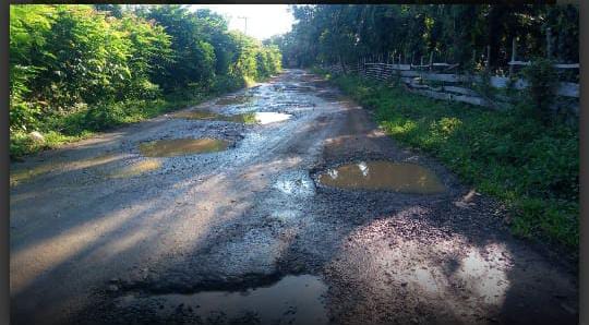 Warga Merintih Jalan Desa Lubuk Puar Kecamatan Merigi Sakti Rusak Parah dan Berlubang Bak Kolam ikan Lele,,